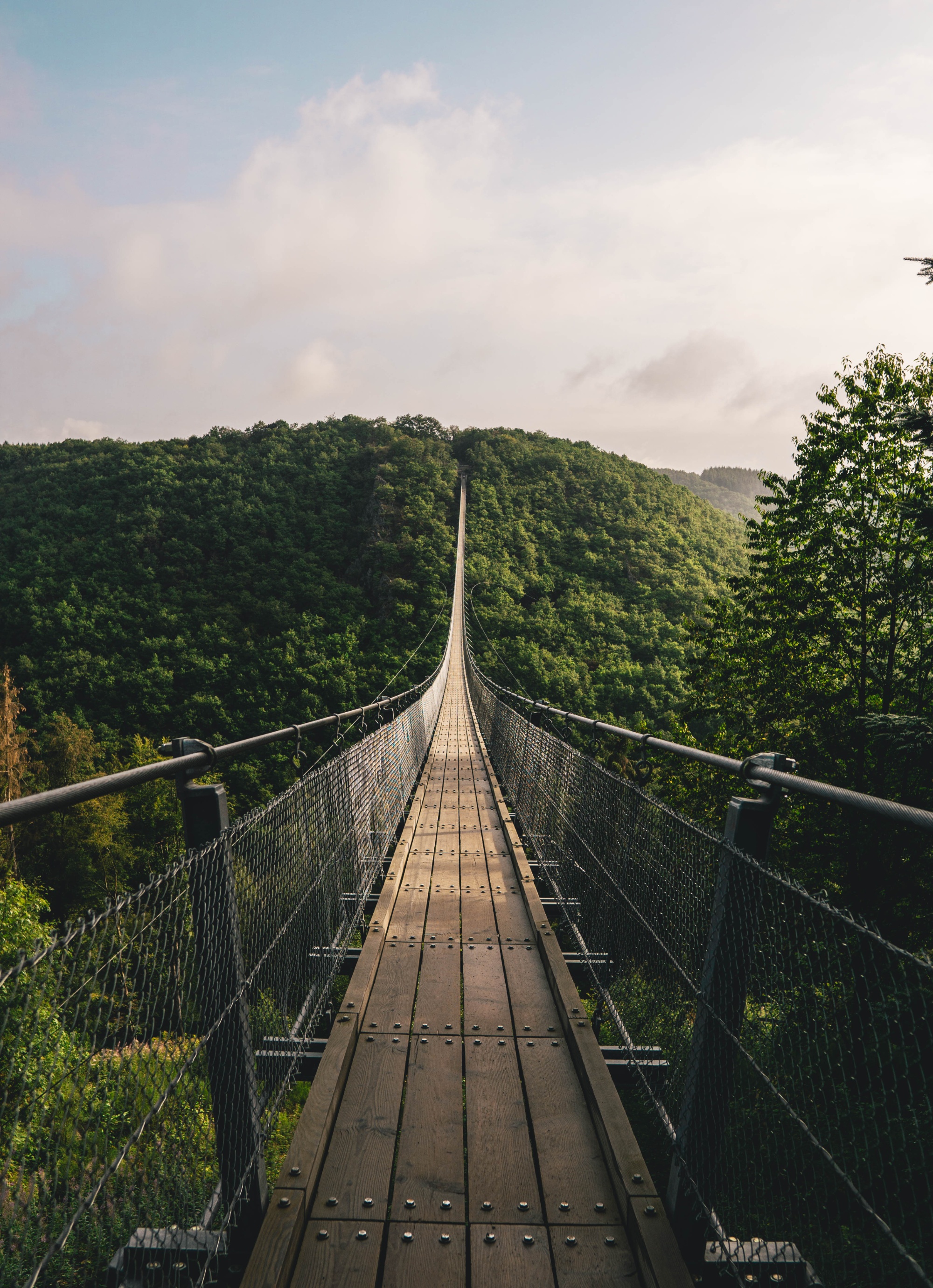 Hängeseilbrücke_Geierlay