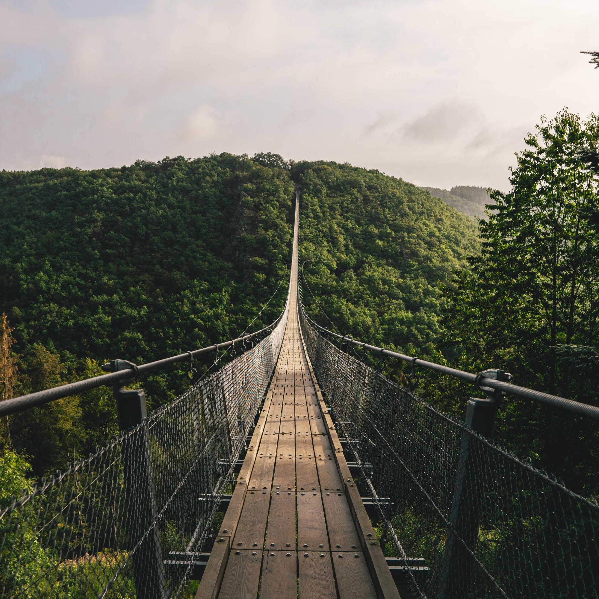 Hängeseilbrücke_Geierlay